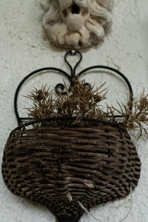Su Da Noi Bed & Breakfast San Dorligo della Valle Eksteriør bilde