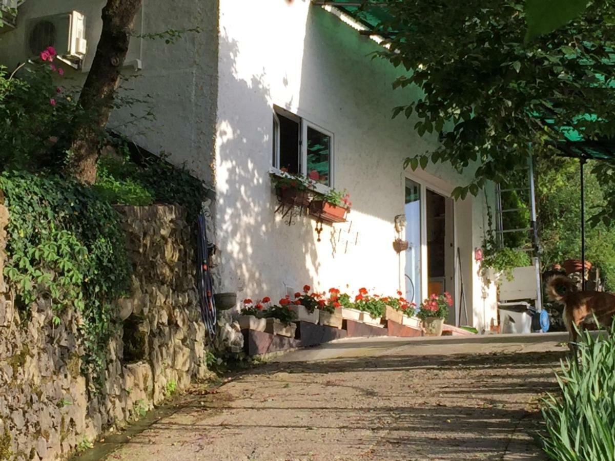 Su Da Noi Bed & Breakfast San Dorligo della Valle Eksteriør bilde